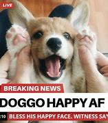 Image result for News Doggo Meme