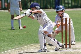 Image result for Playing Cricket