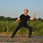 Image result for Tai Chi Styles