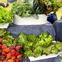 Image result for Farmers Market Booth Ideas