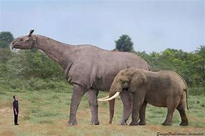 Image result for Biggest Extinct Animals