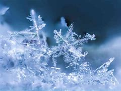 Image result for Pretty Snow Flakes Images