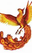 Image result for Ave Fenix Mitologia