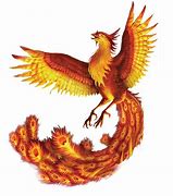 Image result for Ave Fenix Chino