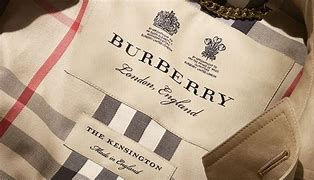 Image result for Burberry Colour