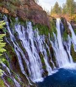 Image result for Lake Shasta Waterfalls