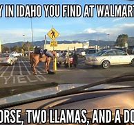 Image result for Idaho Weather Memes