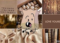 Image result for Bfb Aesthetic