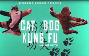 Image result for Kung Fu Cat On Dog