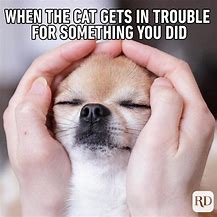 Image result for cute dogs meme with caption
