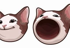 Image result for Cat Mouth Stuck Open Meme