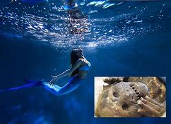 Image result for Mermaid Mummy