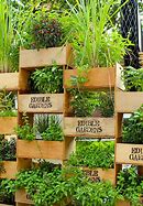 Image result for Vertical Vegetable Garden Design Ideas