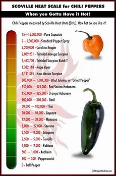 The Scoville Scale Chili Pepper Madness