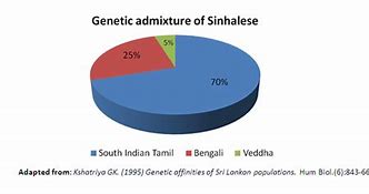 Image result for Sinhalese Human Subgenre
