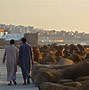 Image result for Asilah Beach