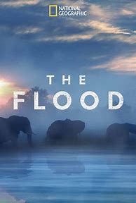 Image result for 2018 Flood Movie