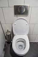 Image result for Accessible Toilet