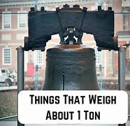 Image result for 1 Ton Person