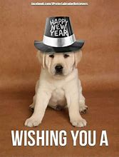 Image result for Happy New Year Black Lab