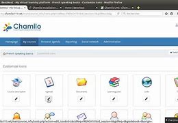 Image result for chamillo