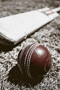 Image result for Vintage Image of Back Yard Cricket