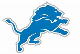 Image result for Detroit Lions Wordmark Logo