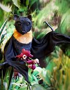 Image result for Toy Bat with Butterfly Wings
