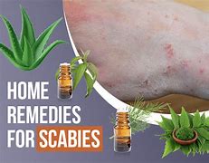Image result for What Does Garden Plants with Scabies Look Like