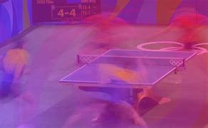 Image result for Cornilleau Table Tennis