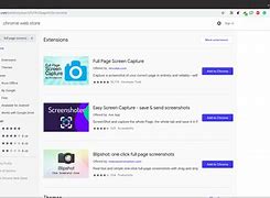 Image result for Page Screenshot Extension