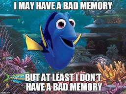 Image result for Animals with Bad Memory