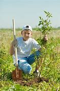 Image result for Boy Planting a Tree