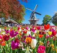 Image result for Most Beautiful Netherlands