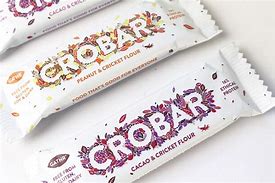 Image result for Cricket Protein Bar