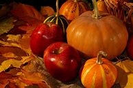 Image result for Pumpkin ND Apple Spice
