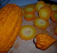 Image result for Yellow Warty Squash