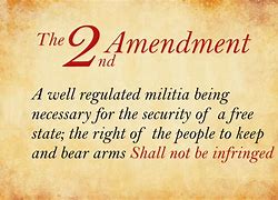 Image result for Bill of Rights 2nd Amendments Cartoon