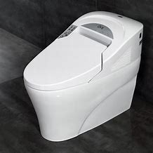 Image result for Combination Toilet and Bidet System