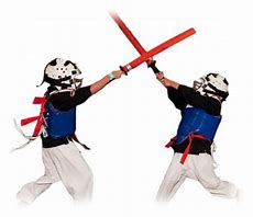 Image result for Best Martial Arts Sword Pers