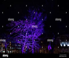 Image result for Night Light Display