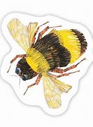 Image result for Eric Carle Bee