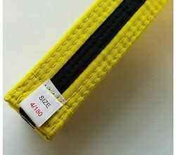 Image result for Karate Belts