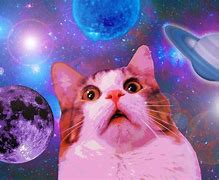 Image result for Galaxy Cat Laptop Wallpaper