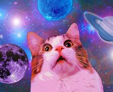 Image result for Funny Galaxy Laptop Wallpaper
