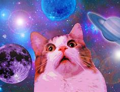 Image result for Galaxy Cat Wallpaper Landscape