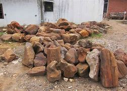 Image result for Petrified Wood Identification