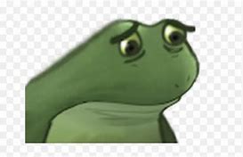 Image result for Worry Frog Awake Emote