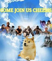 Image result for Come Join Us Meme Doge
