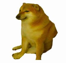 Image result for Sad Doge Meme Template